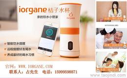 个人护理电器市场概览 其他个人护理电器的价格、厂家与批发渠道